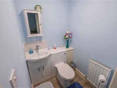 Picture 7